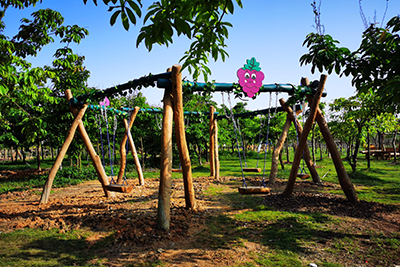 經(jīng)典項(xiàng)目