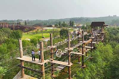 特色項(xiàng)目