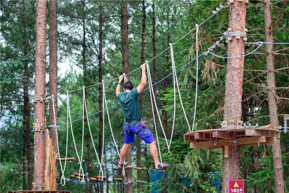 1768011966319978.jpg 1768011966319978.jpg