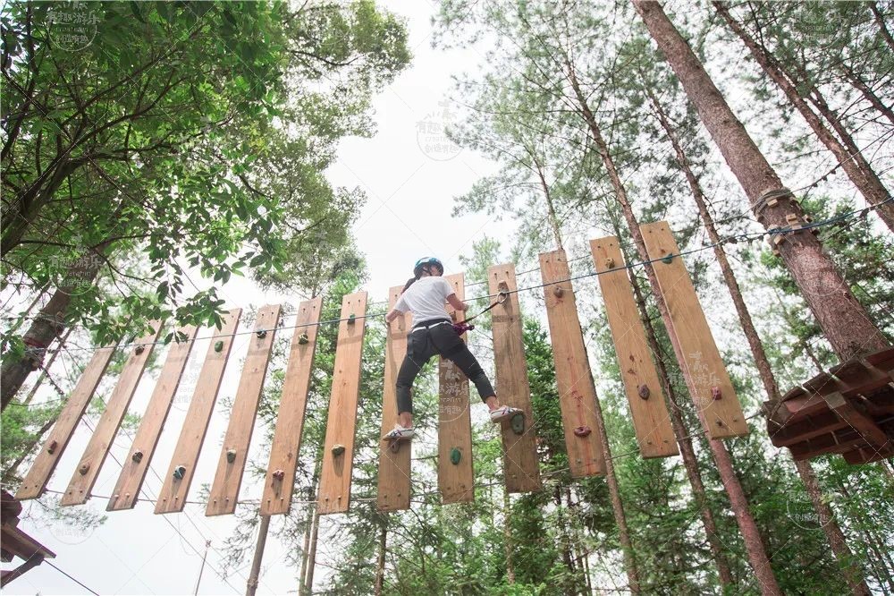 1768011995108453.jpg 1768011995108453.jpg