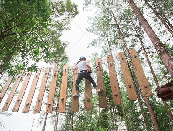 1769220481453201.jpg 叢林探險 (2).jpg