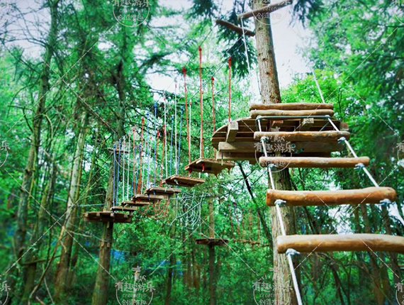 叢林探險 (4).jpg