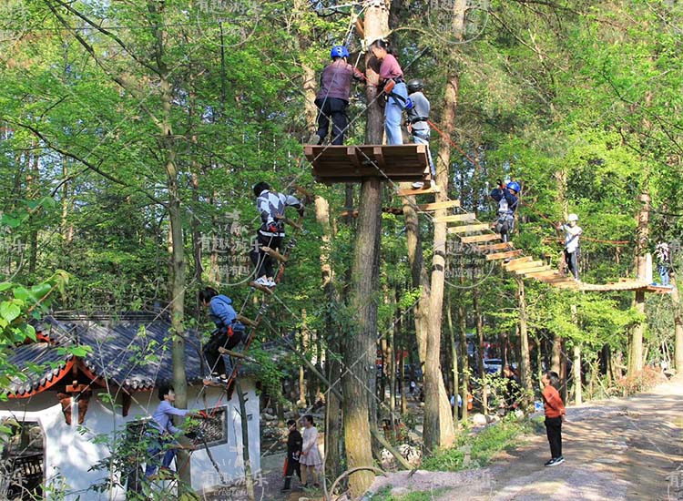 樹(shù)上探險(xiǎn)