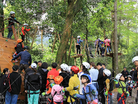 樹(shù)上探險(xiǎn)