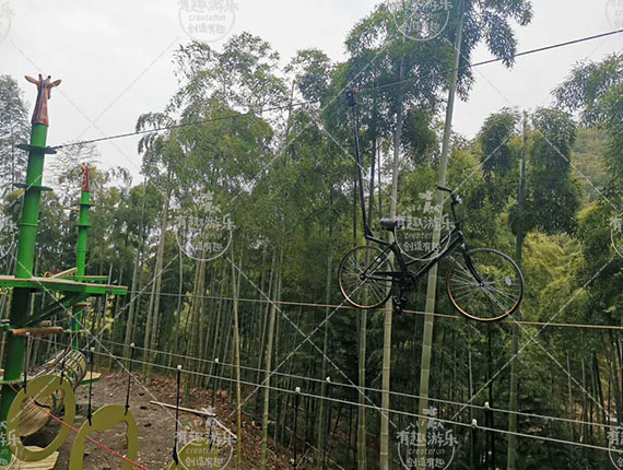 樹(shù)上探險(xiǎn)