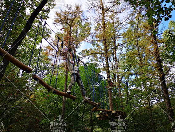 樹上探險(xiǎn)